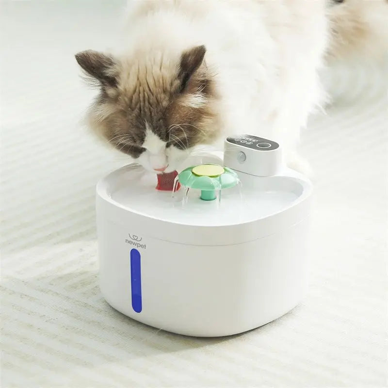 Fonte Sem Fio para Gatos
