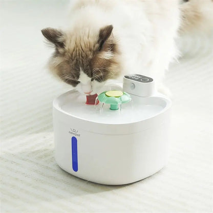 Fonte Sem Fio para Gatos